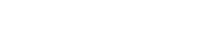 champlain stone logo