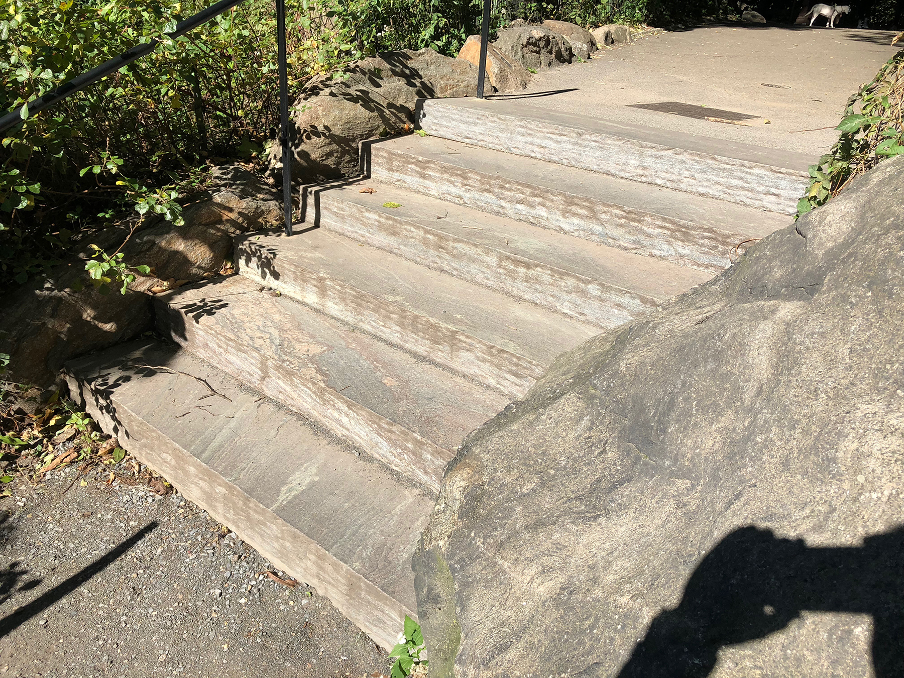 Stone stairs in NYC park