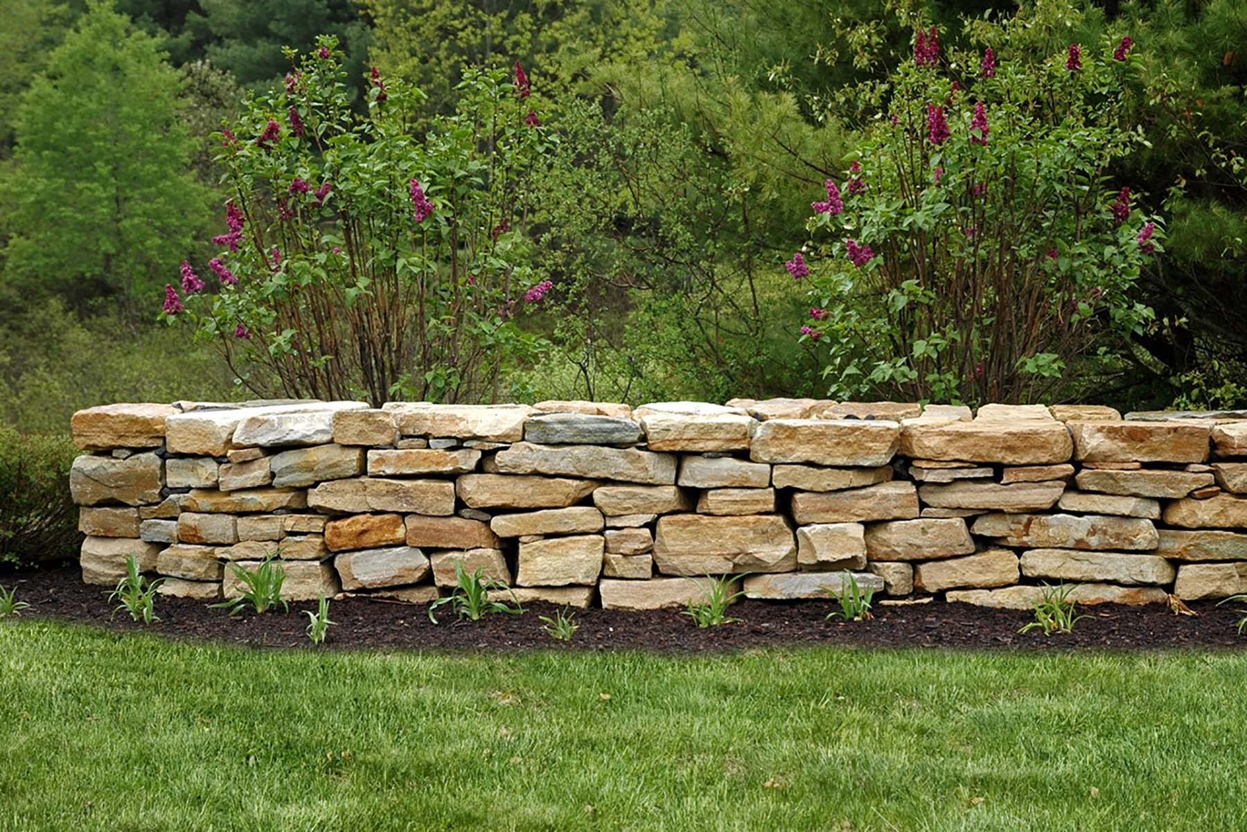Garden with South Bay Quartzite natural building stone wall