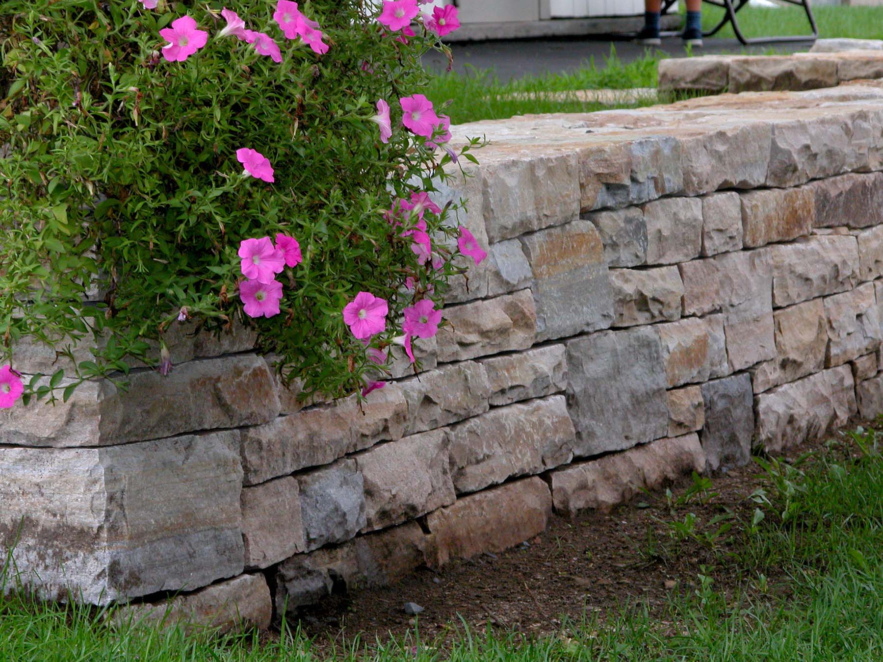 Garden with South Bay Quartzite natural building stone wall