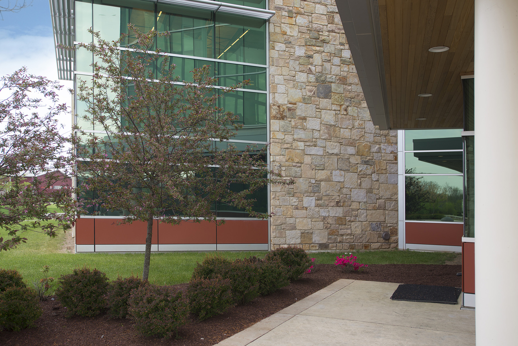 side walk with shrubs